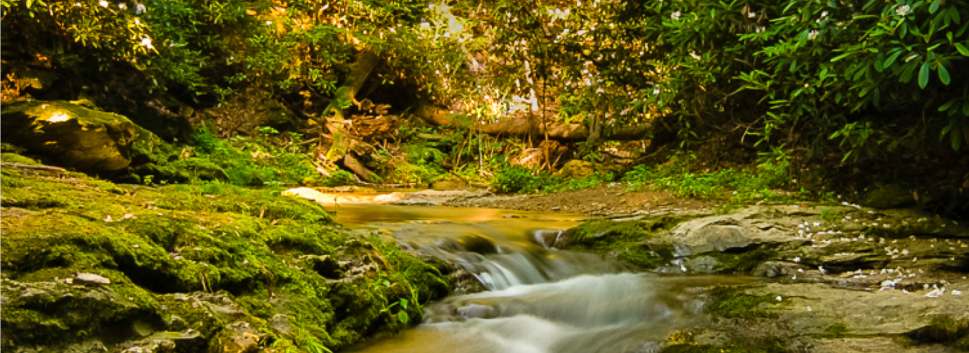 www.lancasterconservancy.org