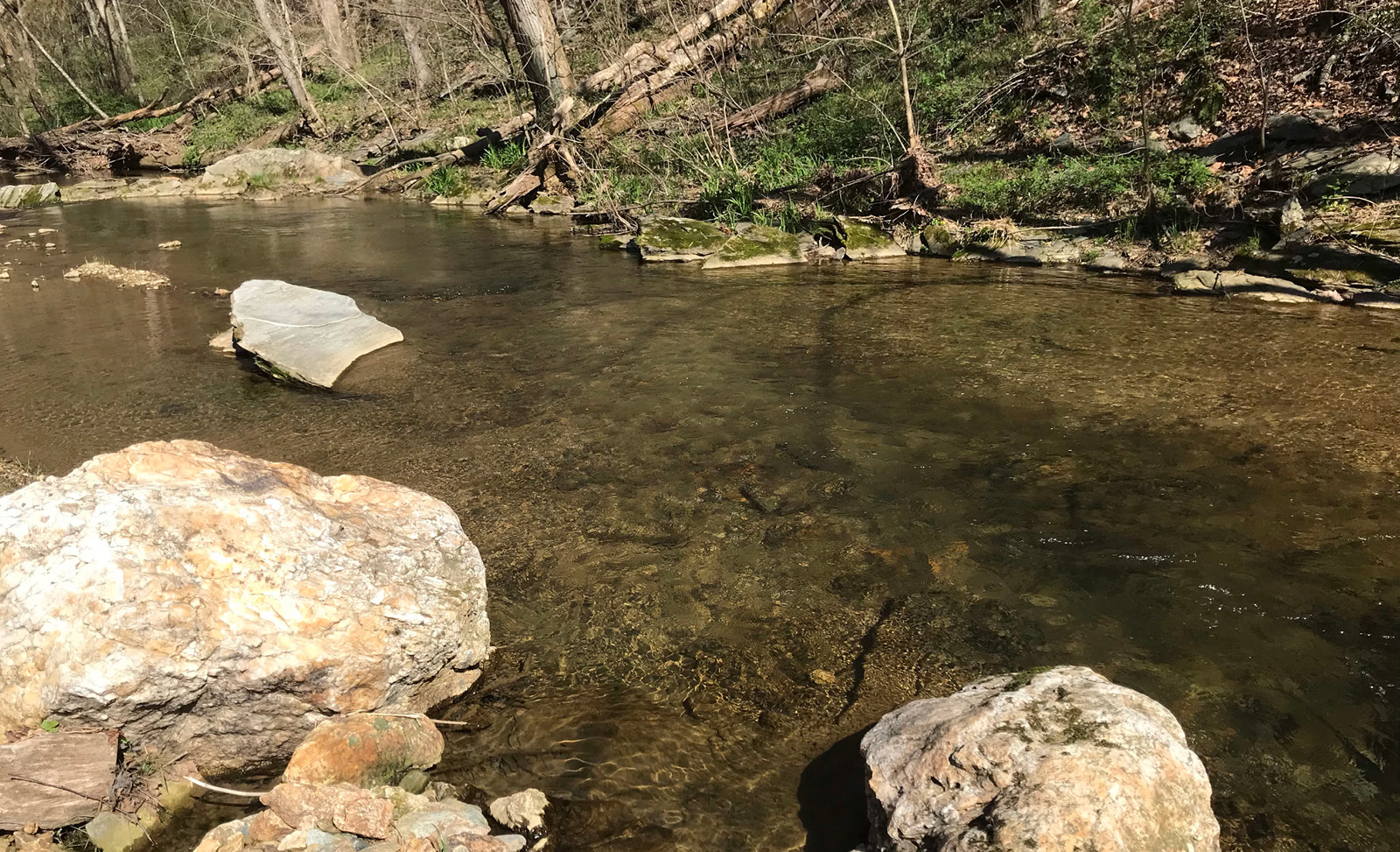 water clear v2