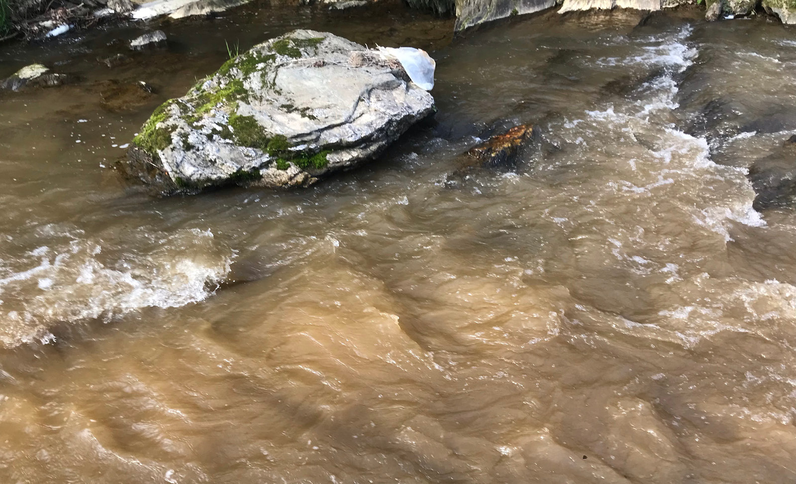 water muddy