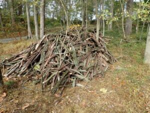 Brush pile