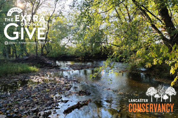 Help Protect Three New Nature Preserves (Letter)