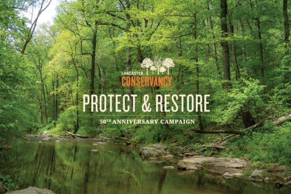 Lancaster Conservancy Announces $21 Million Campaign to Protect & Restore Nature