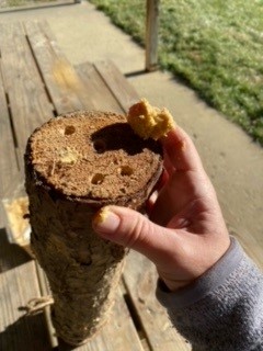 Yule log construction_5
