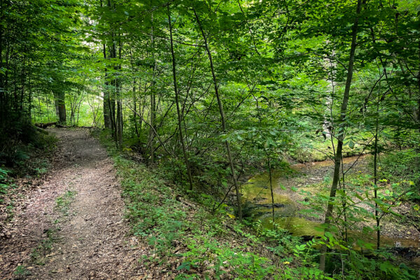 Lancaster Conservancy Adds 77 Acres to de Perrot Woods Nature Preserve