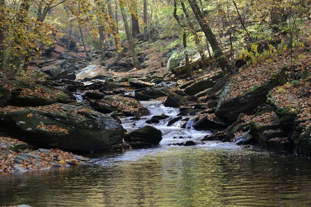 Climbers Run in fall with trees along the banks and leaves falling into the water