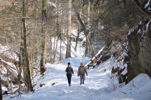 Winter Hiking is ‘Gaining Traction’