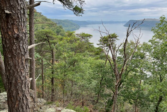 View of the Susquehanna from Cuffs Run area by Keith Williams