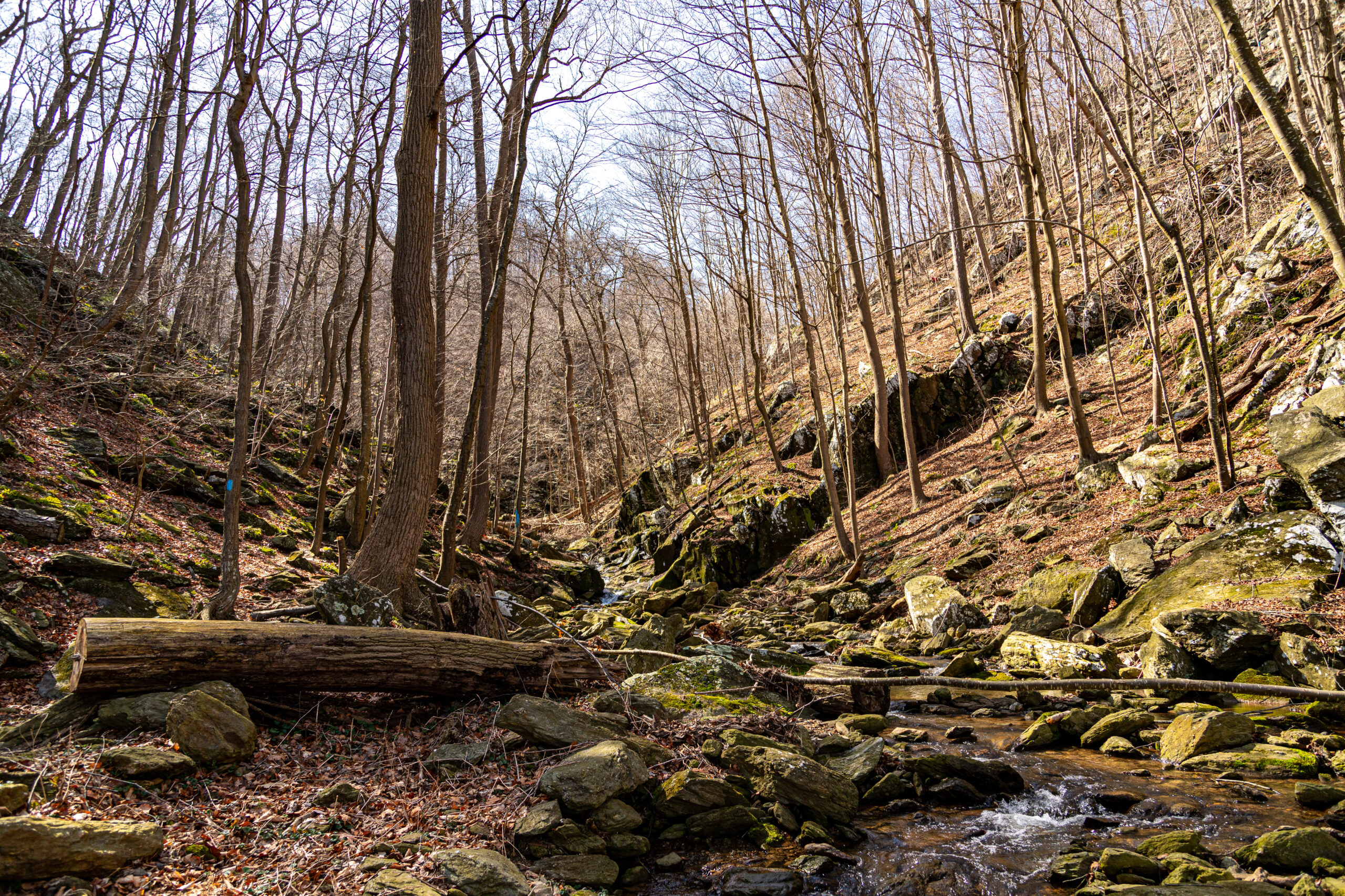 Coalition of Organizations Opposing Cuffs Run Pumped Storage Project Files Legal Protest