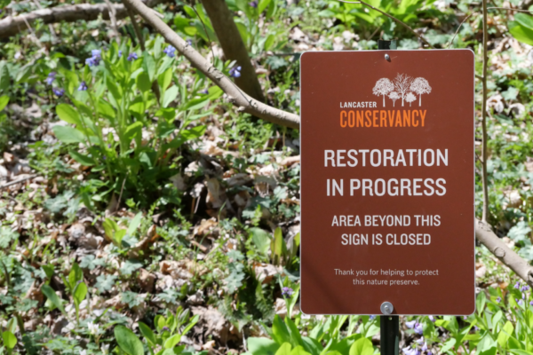 Ecological Restoration 101: What It Is & Why We Do It