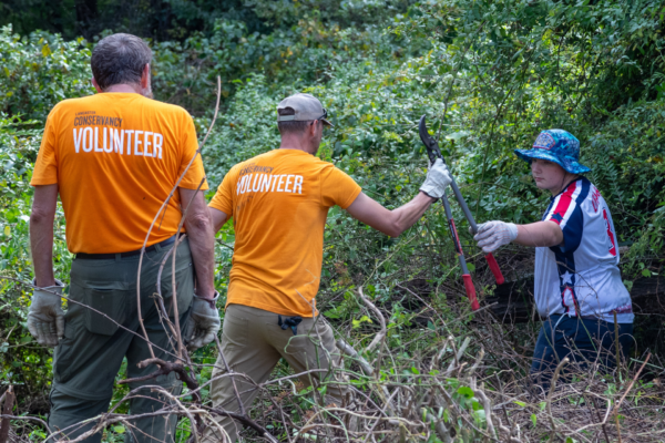 Earth Month: Caring for Our Planet, Wildlife, and Community