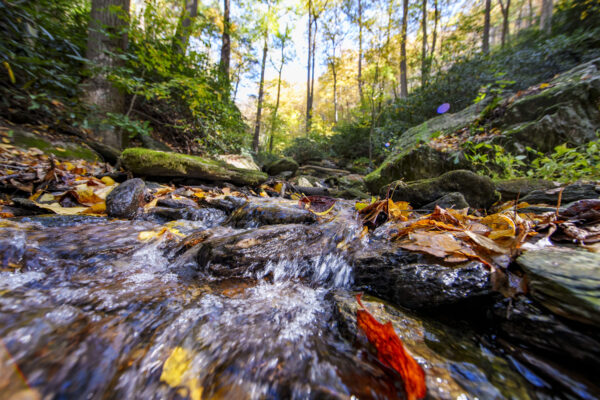 RFP: Lancaster River Hills Conservation Area Master Planning