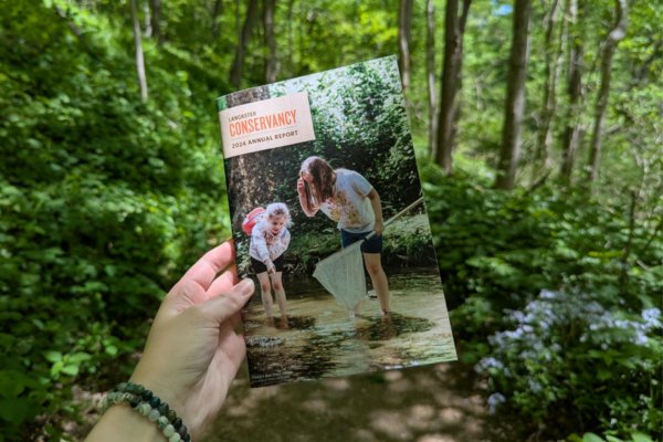 Lancaster Conservancy 2024 Annual Report