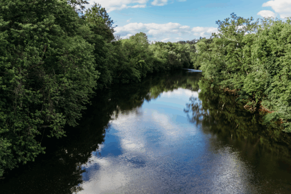 10 Things You Can Do to Protect Water