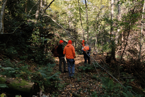 Hunting Season Tips for Lancaster Conservancy Preserves