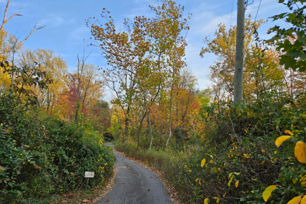 Lancaster Conservancy Protects Natural Lands in Conoy Township with New Conservation Easement