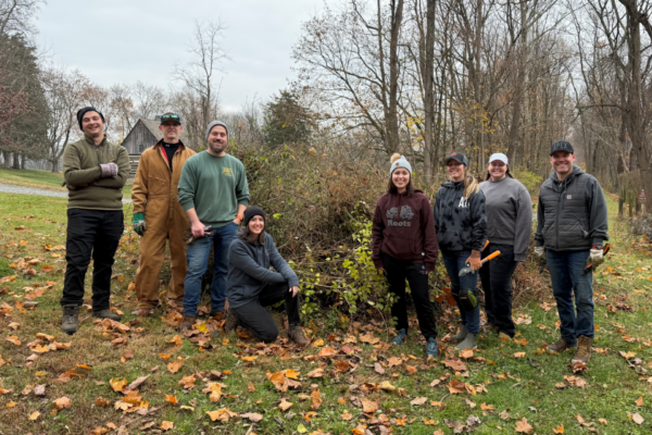 Restoration & Team Building During Volunteer Days