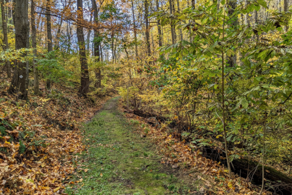 RFP: Robert A. Kinsley Nature Preserve UA Trail & Parking Lot