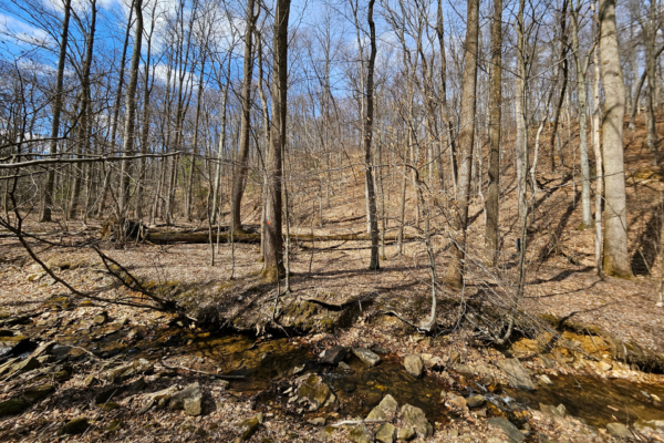 Lancaster Conservancy to Add 31-Acre Addition to Robert A. Kinsley Nature Preserve