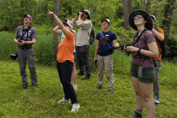 Documenting Restoration Through Community Science: Bioblitz at Graham Nature Preserve
