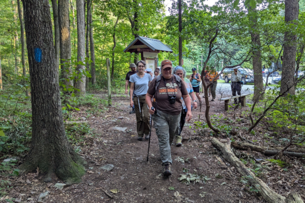 Summer Hiking Tips to Care for Nature and Yourself