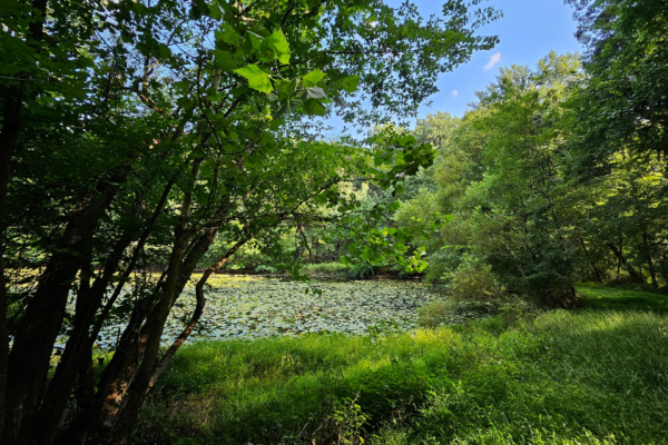 Lancaster Conservancy Adding Over 20 Acres to Climbers Run Nature Center
